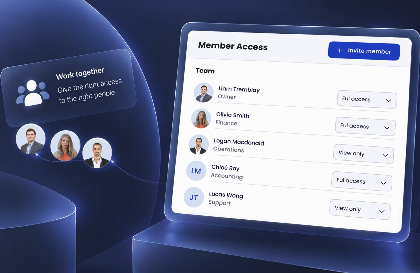 Team member access levels